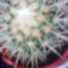 吕小布他爸的头像