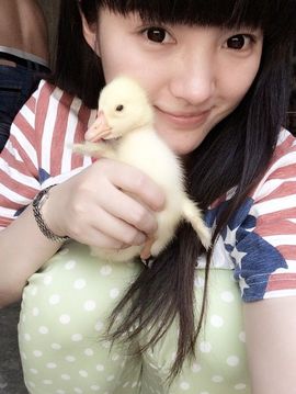 習慣有妮主播照片