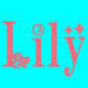 ❀爱Lily