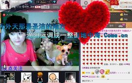 小样去哪儿了主播照片