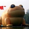 豪情视觉d