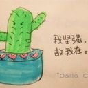 南方的风景