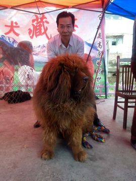 劳士alan主播照片