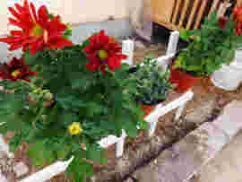 ★豆子★主播照片