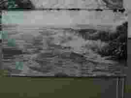 ★豆子★主播照片