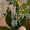 只为等你——