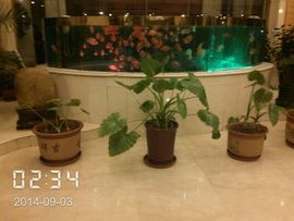 不在拉风主播照片