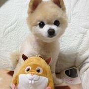 将离开的