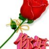 永不停