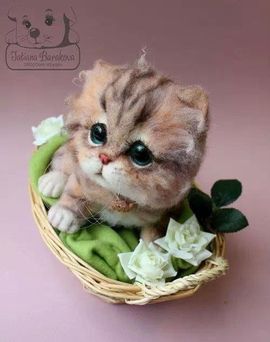 ☜｡◕小点心◕｡☞主播照片