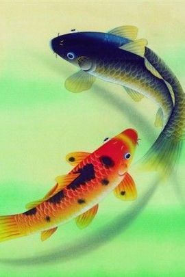 ╰✿寻水的鱼☜主播照片