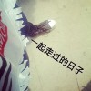 那个女孩.|