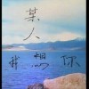 ♡＂冰凉＂de＂忧傷