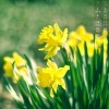 生哥n