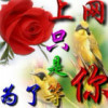无♡风✔起♡浪
