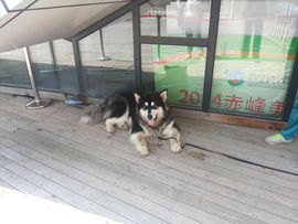 邪恶男神主播照片