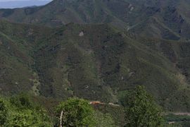 邪恶男神主播照片