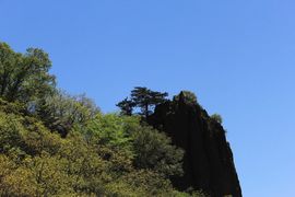 邪恶男神主播照片