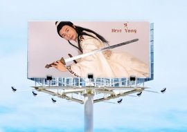 杨大侠heroyan主播照片