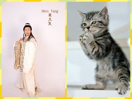 杨大侠heroyan主播照片
