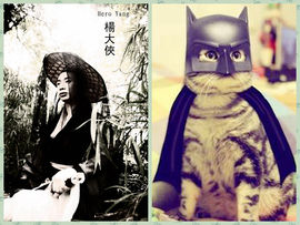 杨大侠heroyan主播照片