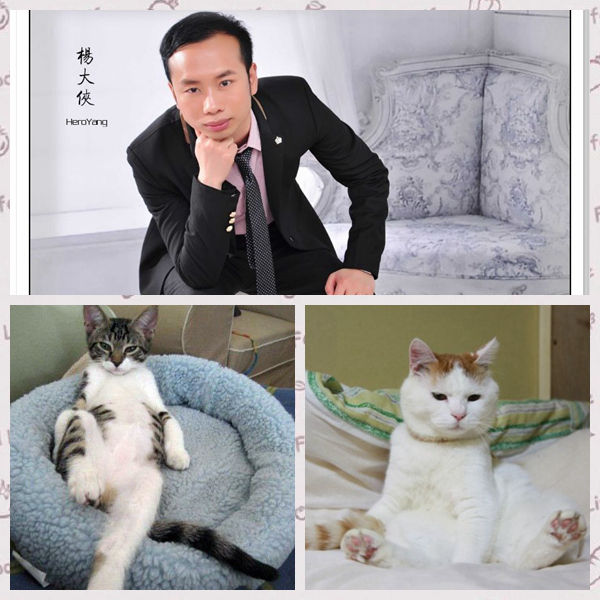 杨大侠heroyan的主播照片