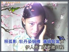 或若娲女沉湖底主播照片