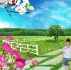 孤独雨w