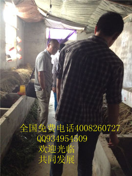lmjyt主播照片