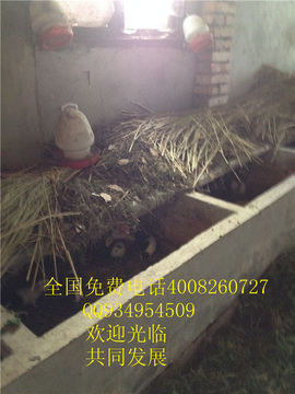 lmjyt主播照片