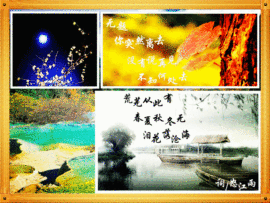 怒江雨主播照片