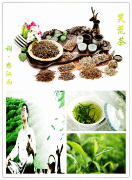 怒江雨主播照片
