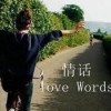 ℡最终的最终海报