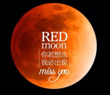 【Xiao】【唯一】的主播照片