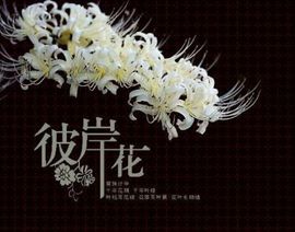 、木剑、主播照片