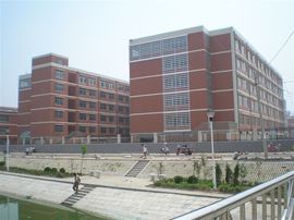 李毅勤羊杂割主播照片