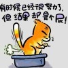 い高调走单