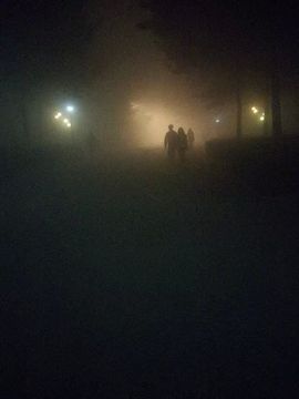向日葵下的小花花儿主播照片