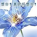 呼唤心灵我爱你主播照片