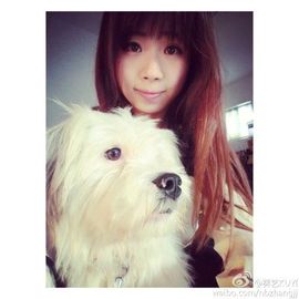 向日葵下的小花花儿主播照片