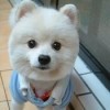 ｡oO五♥哥Oo｡海报