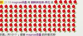 ∨燕子∨主播照片