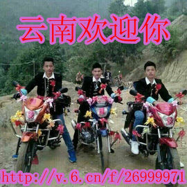 云南。李少主播照片