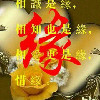 雲中龍