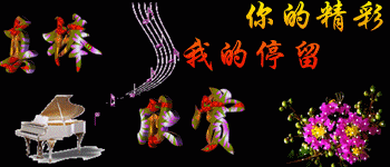 渝.G.U2792的图片