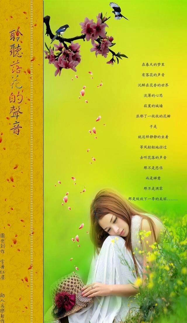 樂楽牌藤藤菜的图片