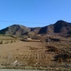 幸福的味道eu