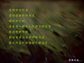 永远挂号主播照片