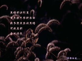 永远挂号主播照片