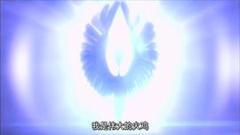 ░独░主播照片